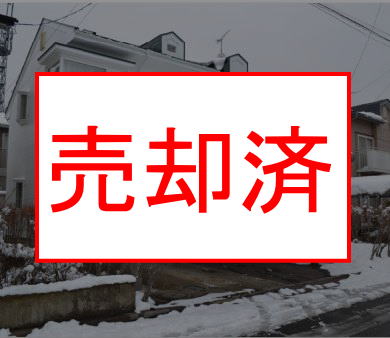 商品イメージ