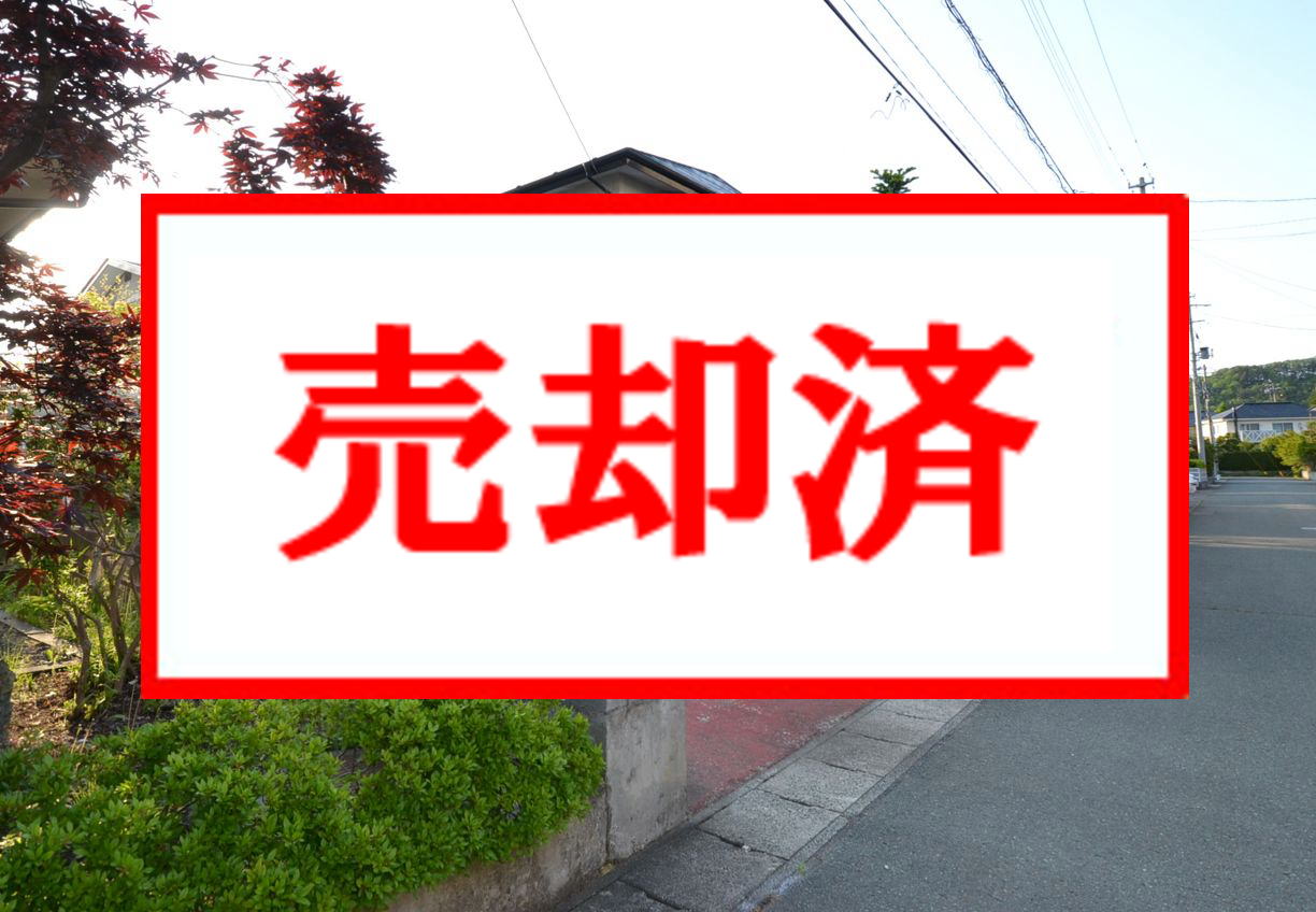 商品イメージ
