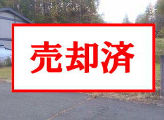 商品イメージ