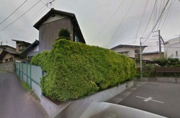 商品イメージ